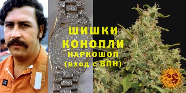 трава Арсеньев
