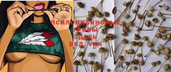 круглые Армянск