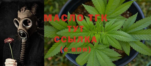 крисы Баксан