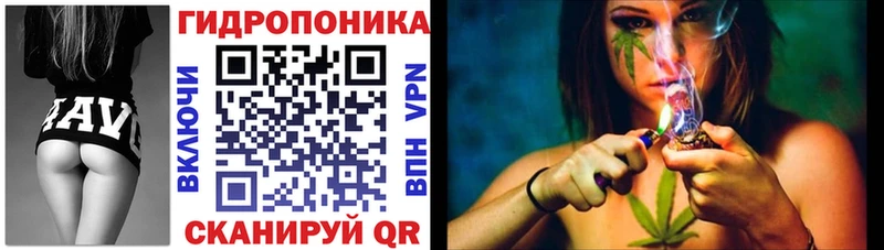 Марихуана гибрид  Строитель 